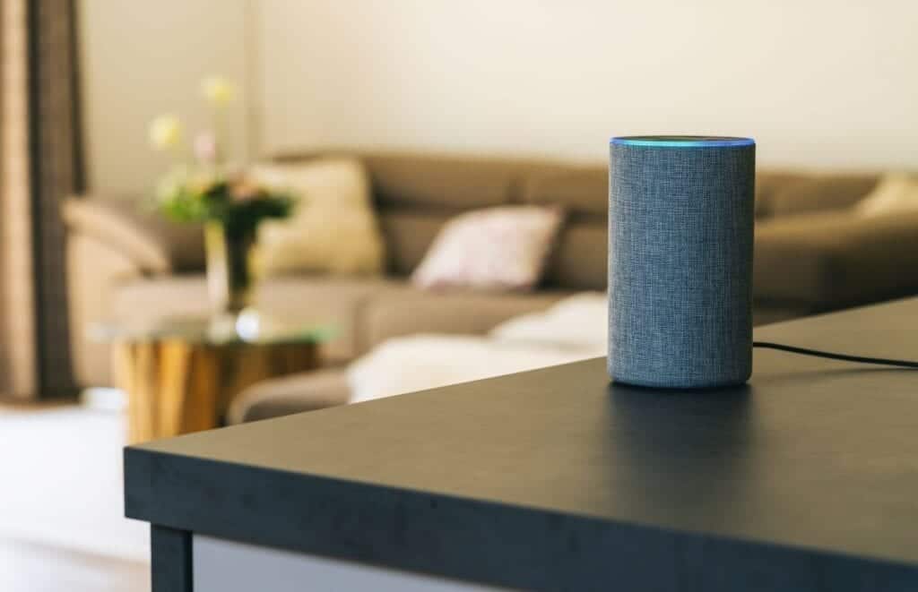 Amazon echo security