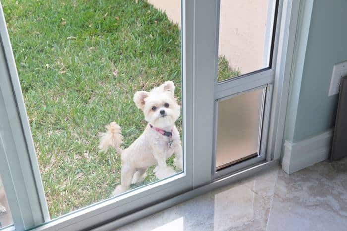 Automatic Pet Door